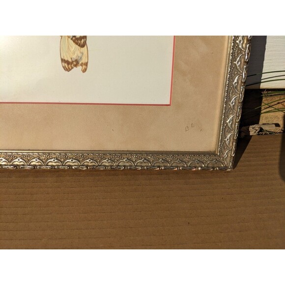 Vtg 70s Parrot Picture Handmade From Butterfly Wings African Art Framed W/Glass - Picture 5 of 10